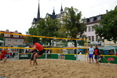 Zufallsbild Bildergalerie