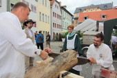 Zufallsbild Bildergalerie